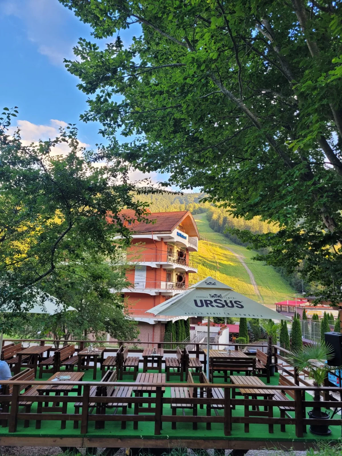 Elemar Guesthouse in autumn, with the fir trees in front